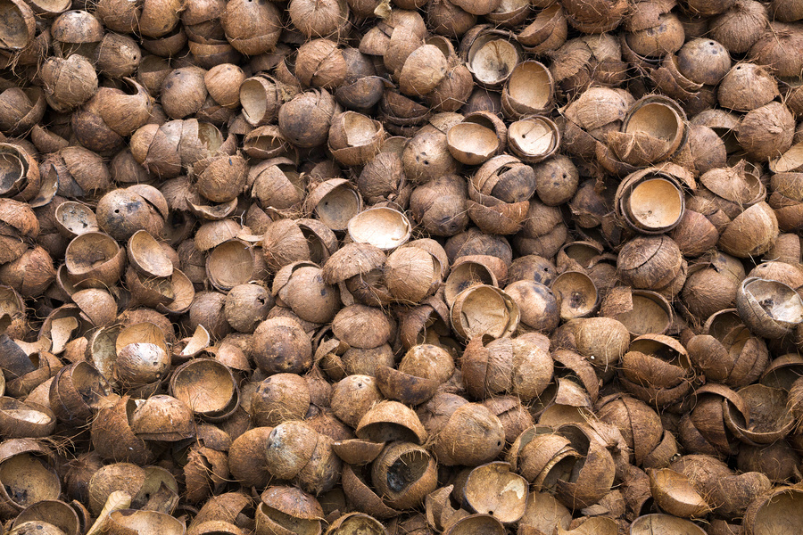 pile coconut shells.